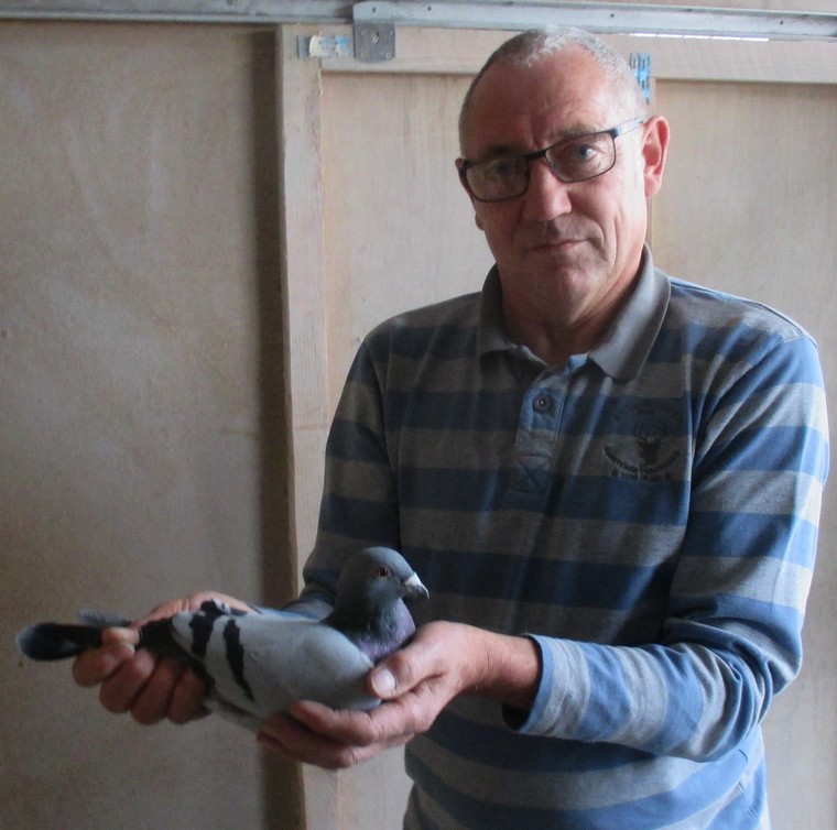 Pigeonsbay - Prévente & vente de sociétés