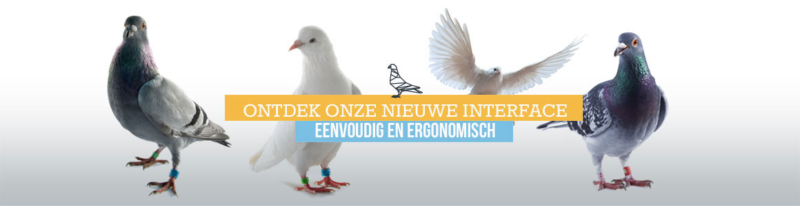 Ontdek nieuwe interface